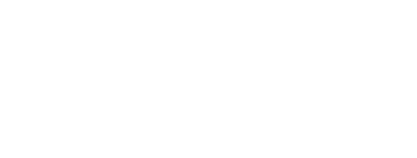 Auto Vibe